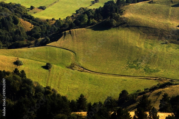 Fototapeta landscape with mountains and trees