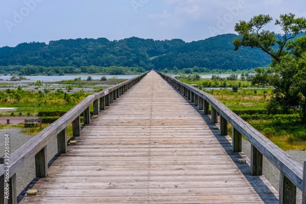 Fototapeta 静岡県の蓬莱橋