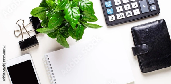 Fototapeta Wallet, telephone, calculator, green plant, clips and a blank white notepad on a light background. Copy space