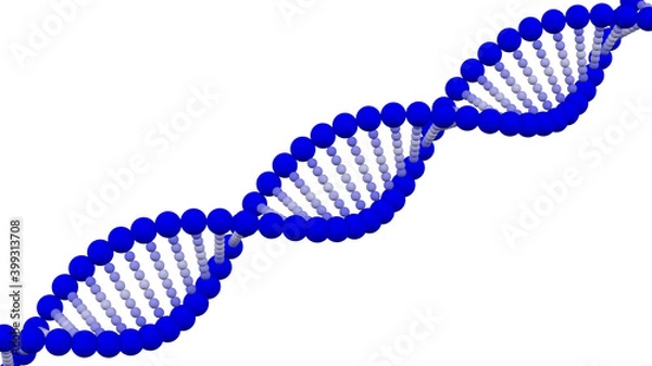 Fototapeta Blue and white DNA molecule. 3D rendering.