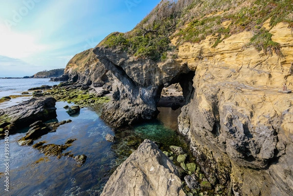 Fototapeta 神奈川県城ヶ島の岩場