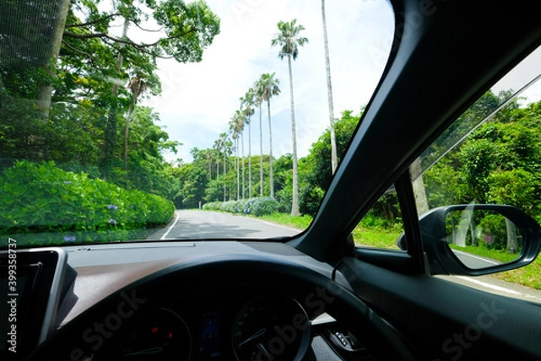 Fototapeta 南国の道と車