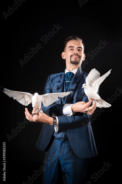 Fototapeta A magician with a smile in a blue tailcoat holds two white doves in his hands on a black background