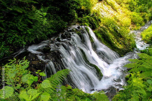 Fototapeta 白糸の滝