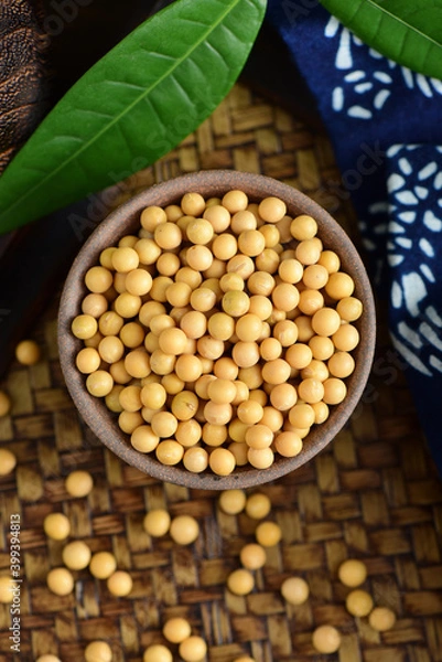 Obraz Soybean on the background of retro Chinese style