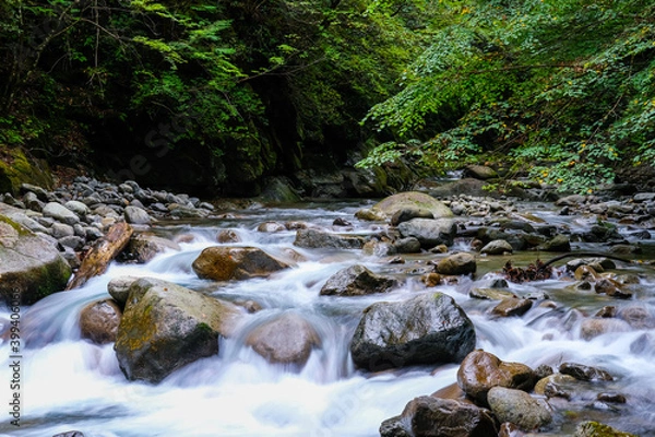 Fototapeta 山梨県の西沢渓谷