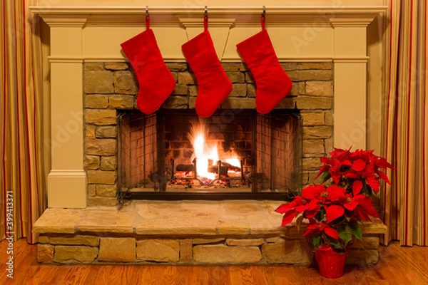 Fototapeta Three red Christmas stockings hang on a beautiful stone fireplace with a glowing fire.with red poinsettias.