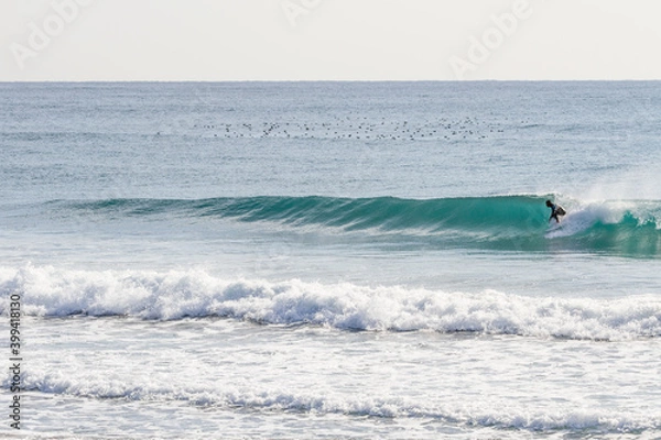 Fototapeta 蒼い海の波とサーフィン