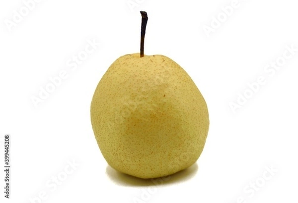 Obraz pear isolated on white