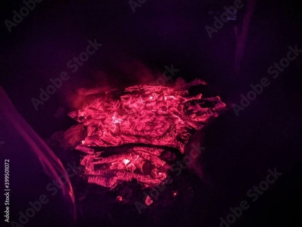 Fototapeta red cells