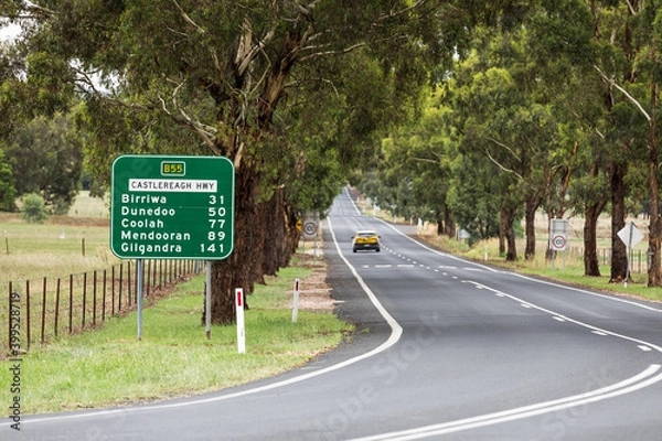 Fototapeta A car travels on a long straight country road through an avenue of trees on a single lane section of the Castelreagh Highway in rural New South Wales, Australia.
