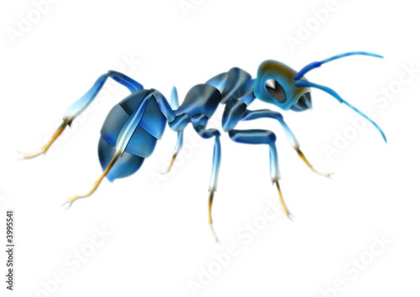 Fototapeta 09hormiga virtual