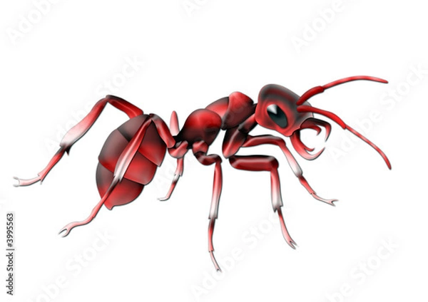 Fototapeta 13hormiga virtual
