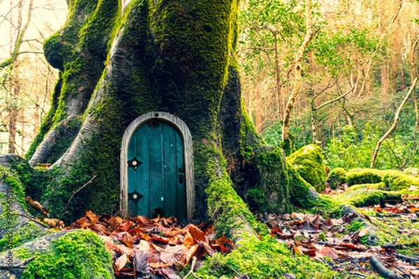 Fototapeta Fairytale fantasy house in tree trunk in forest