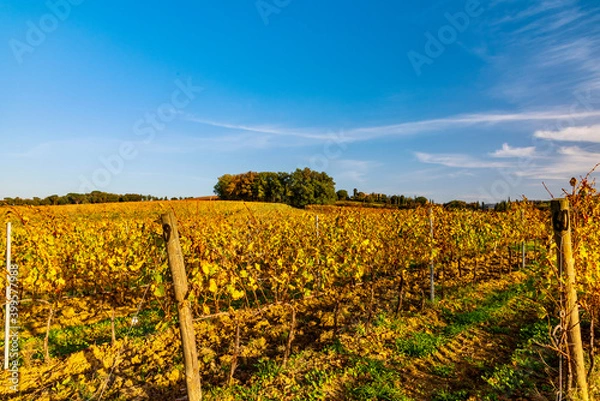Fototapeta sunset over the Chianti hills of Siena in Tuscany in autumn