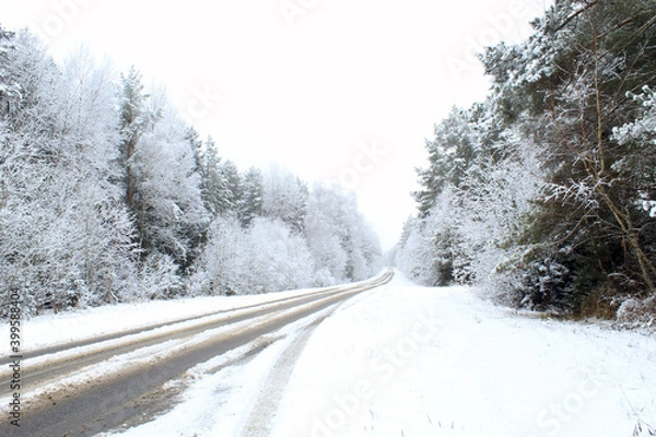 Fototapeta winter forest road, poorly cleared, landscape