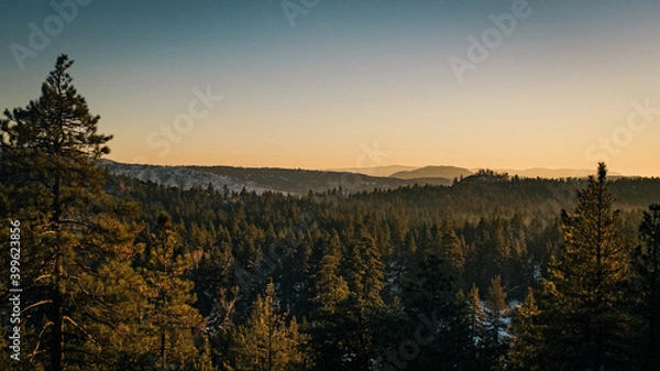 Obraz Sunset over snowy forrest 