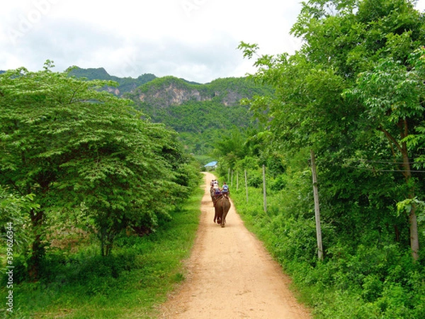 Obraz elephant trekking