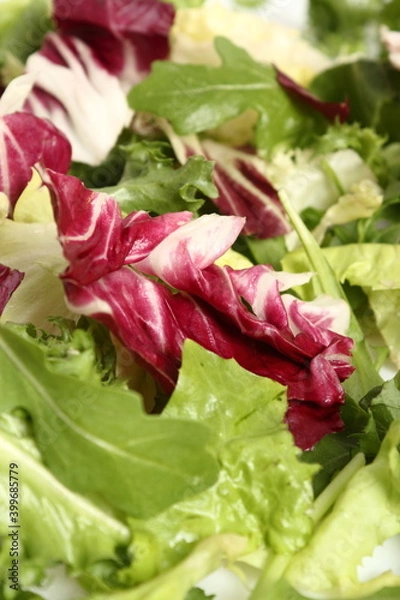 Obraz Mixed green leaf vegetables. Macro.