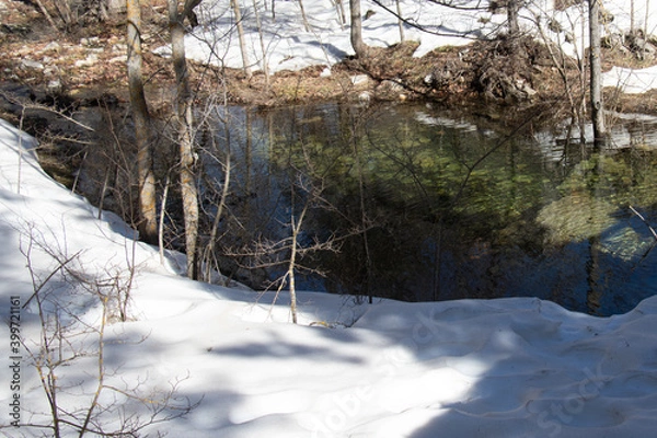Fototapeta river in the forest