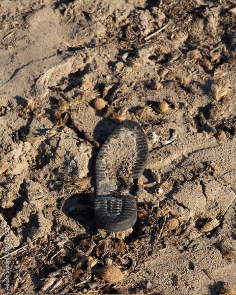 Obraz sole on the ground