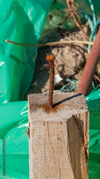 Obraz nail driven into wood