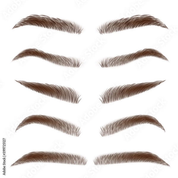 Fototapeta Classic type and different eyebrow thickness. Various types of eyebrows. Brown eyebrow bag. Brown eyebrows isolated on white background. Vector illustration