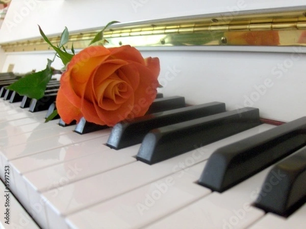 Fototapeta Liebe zur Musik