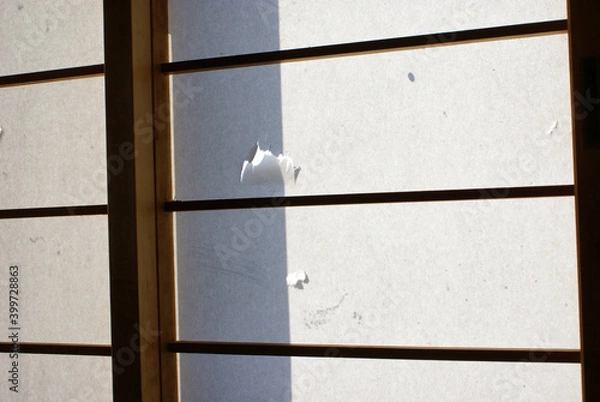 Fototapeta 破れた障子