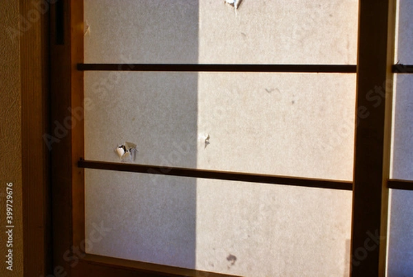 Fototapeta 破れた障子