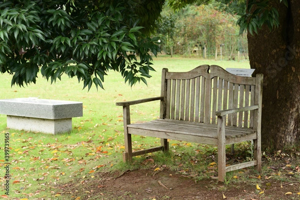 Obraz 秋の公園にある木製のベンチ