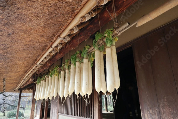 Obraz 古い日本家屋の軒下で大根を干す　drying   radish  at Japanese old house 
