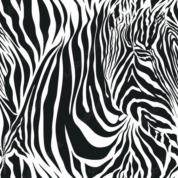 Fototapeta Seamless vector black and white zebra fur pattern. Stylish fashionable wild zebra print. Animal print background for fabric, textile, design, advertising banner.