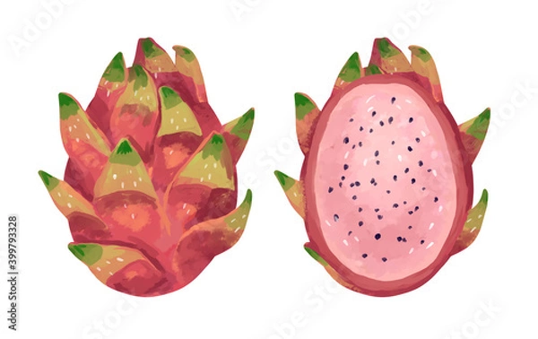 Obraz かわいいドラゴンフルーツイラスト
