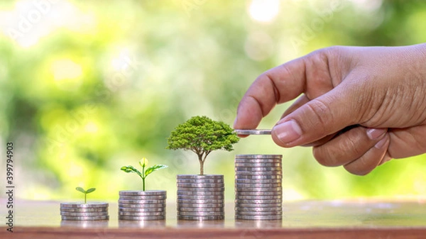Fototapeta Planting a tree on a pile of money, including the hand of a woman holding a coin to a tree on the coin, money saving ideas and investing in the future.