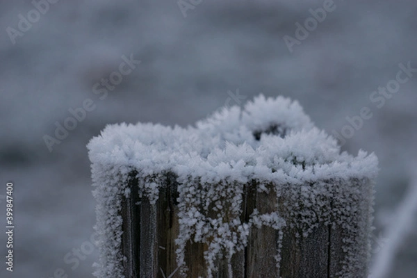 Fototapeta detail of a frosted trunk post of a fence at winter morning