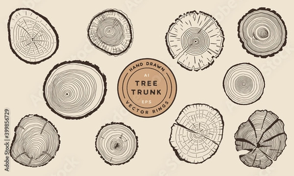 Obraz Wood Tree Trunk Rings - Hand Drawn Vector Set	