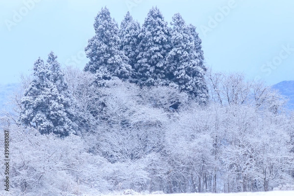 Obraz 雪景色　冬の朝