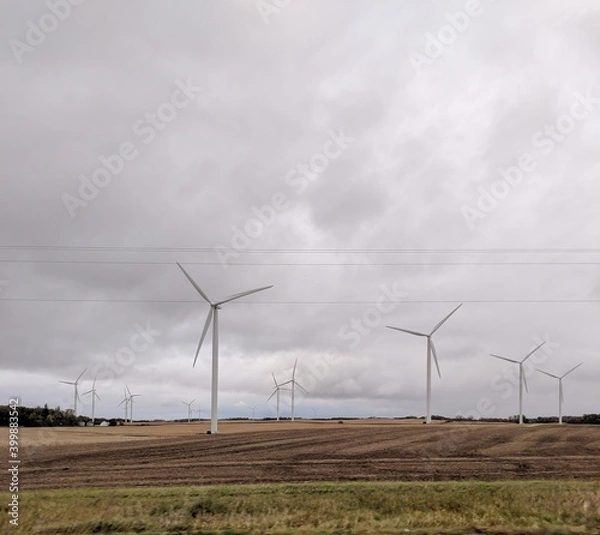 Obraz wind turbines in the field