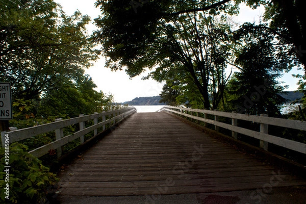 Obraz 橋の向こう