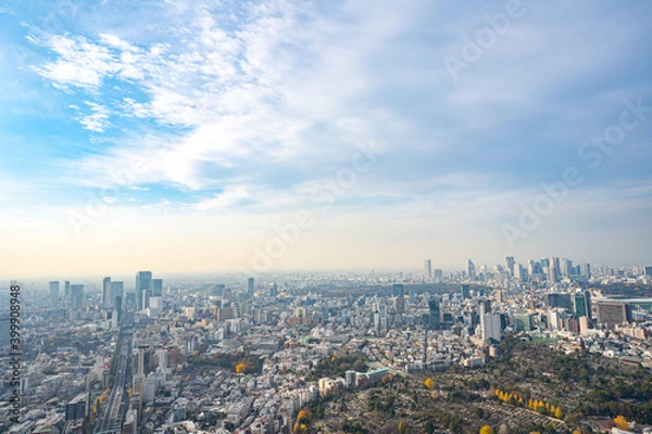 Obraz 【六本木ヒルズより】東京都内、都市景観/渋谷、新宿副都心方面