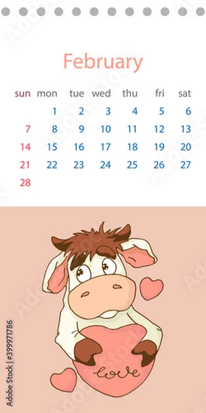 Fototapeta February 2021. Calendar month with a cartoon bull with a pink heart in its paws. Editable vector template in flat style.
