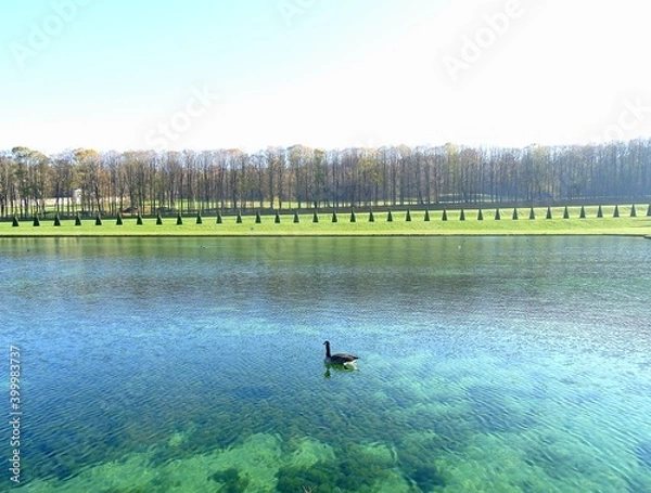 Obraz landscape with a lake