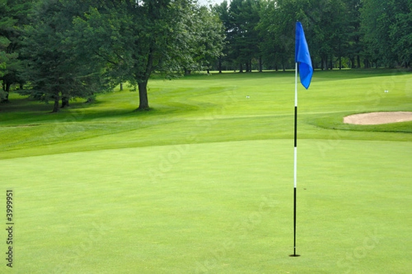 Obraz Onto the green