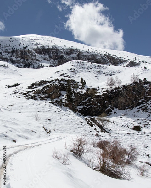 Obraz snow covered mountains in winter