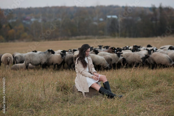 Fototapeta Girl and sheep in the field.