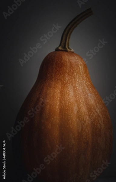 Obraz Orange pumpkin on a dark background. Artistic composition