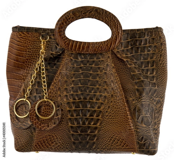 Obraz handbag