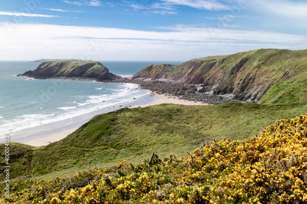 Obraz View of Gateholm Island from the Wales Coast Path, Pembrokeshire, UK. Marloes sands, or beach, below the cliff path. Summer's day.