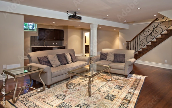 Obraz Entertainment room